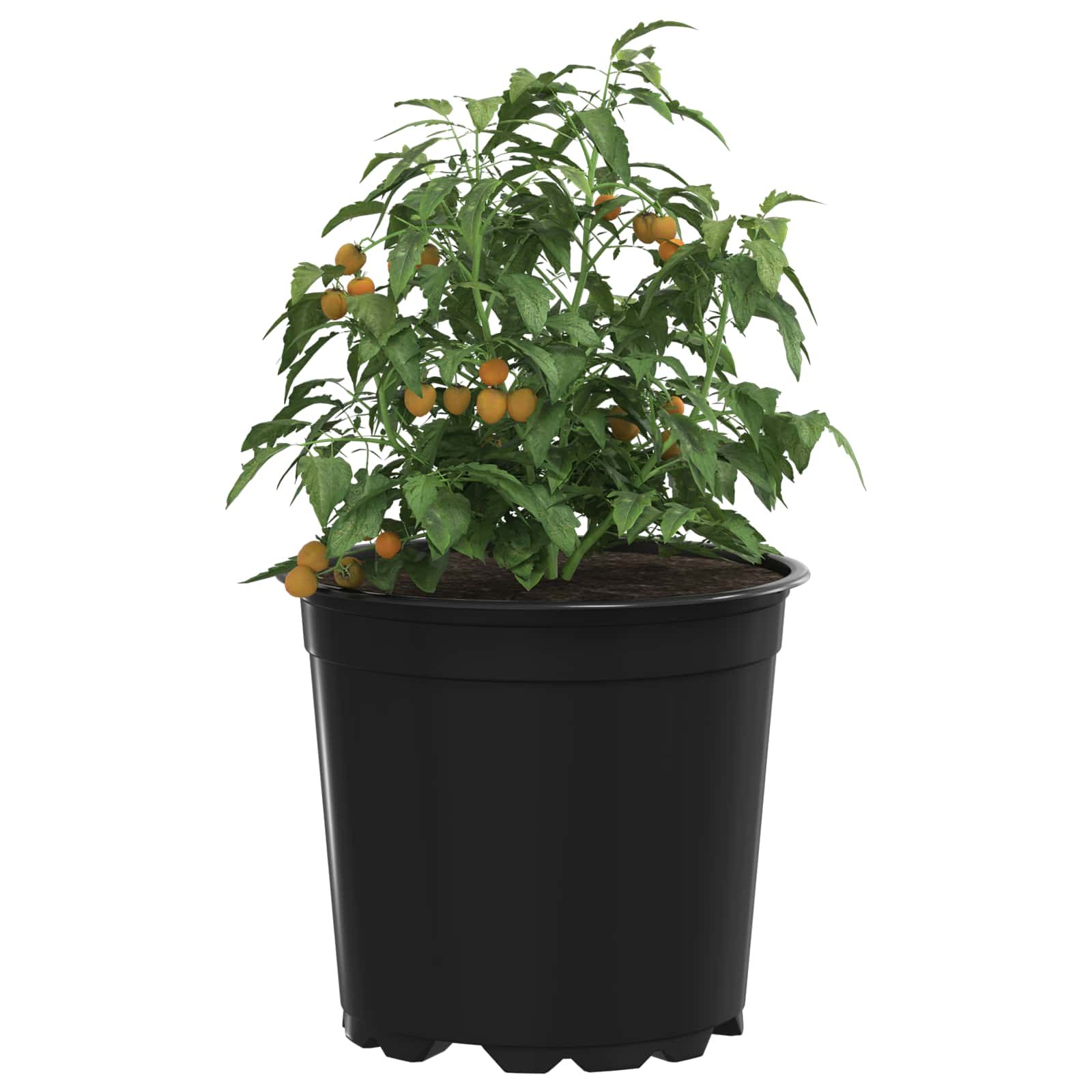 vidaXL Round Flower Pot 200 pcs Black Ø 15 x 13 cm Plastic 3