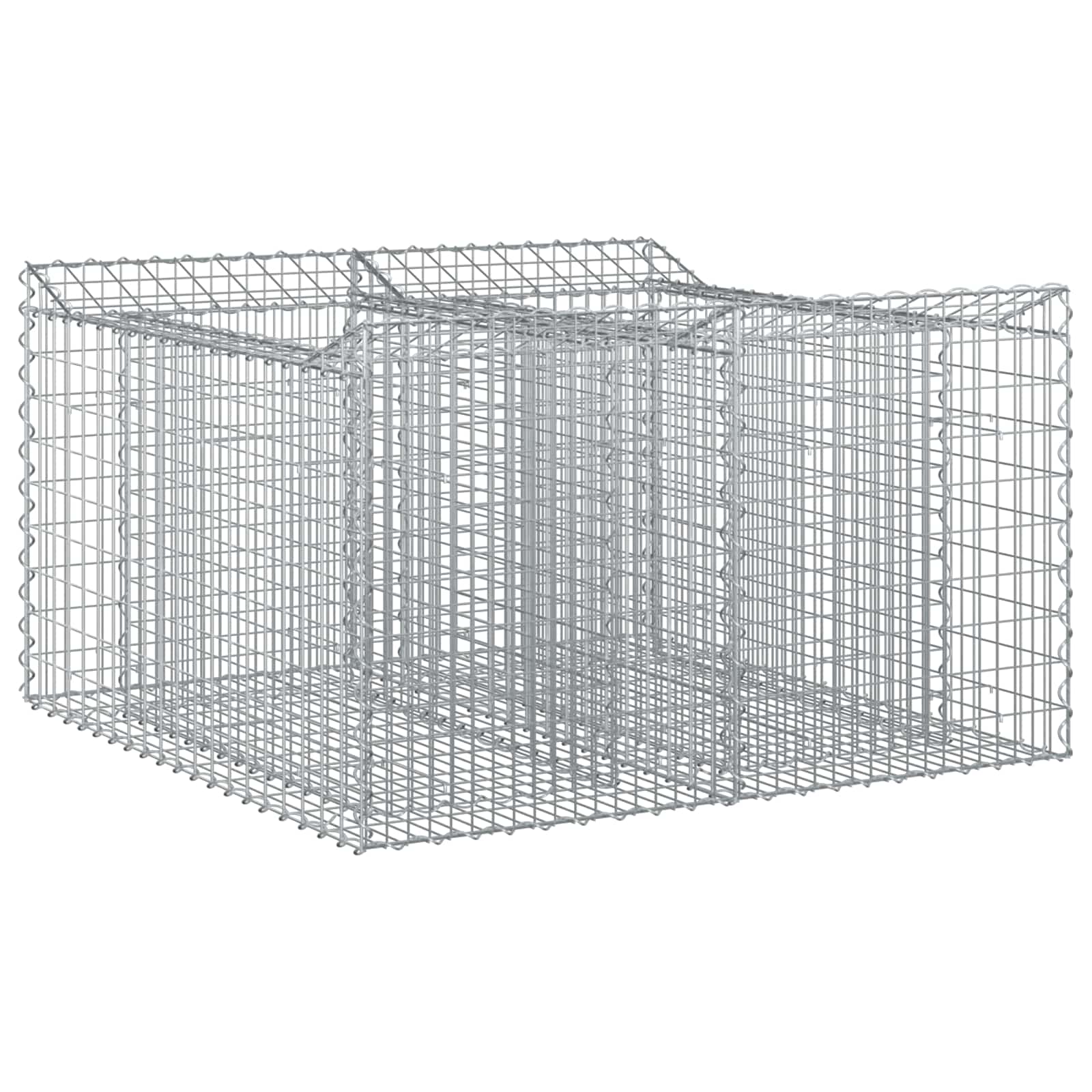 vidaXL Gabion Raised Bed 100 x 100 x 60 cm Galvanised Steel Silver 2