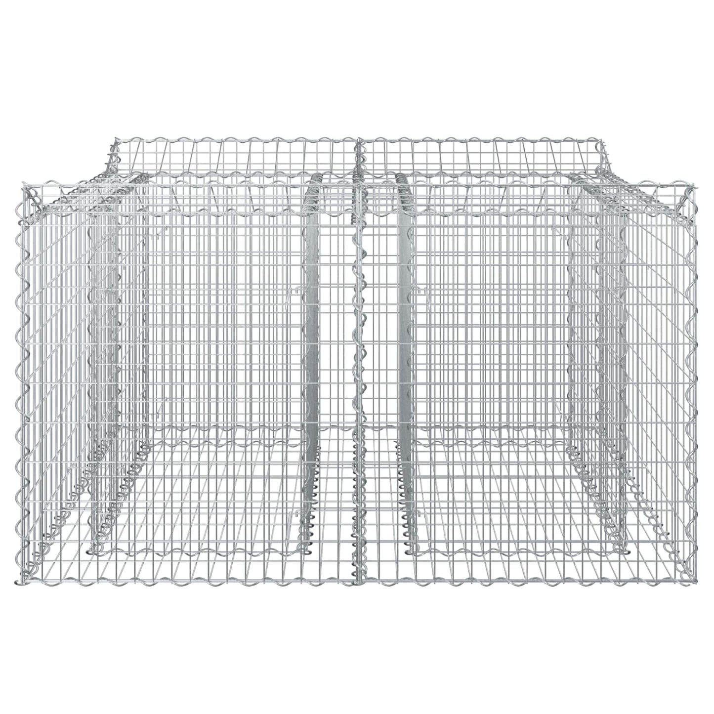 vidaXL Gabion Raised Bed 100 x 100 x 60 cm Galvanised Steel Silver 4
