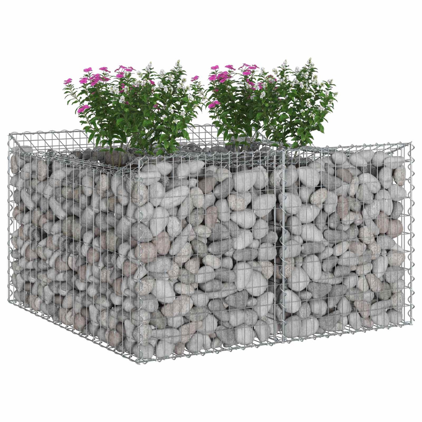 vidaXL Gabion Raised Bed 100 x 100 x 60 cm Galvanised Steel Silver 3