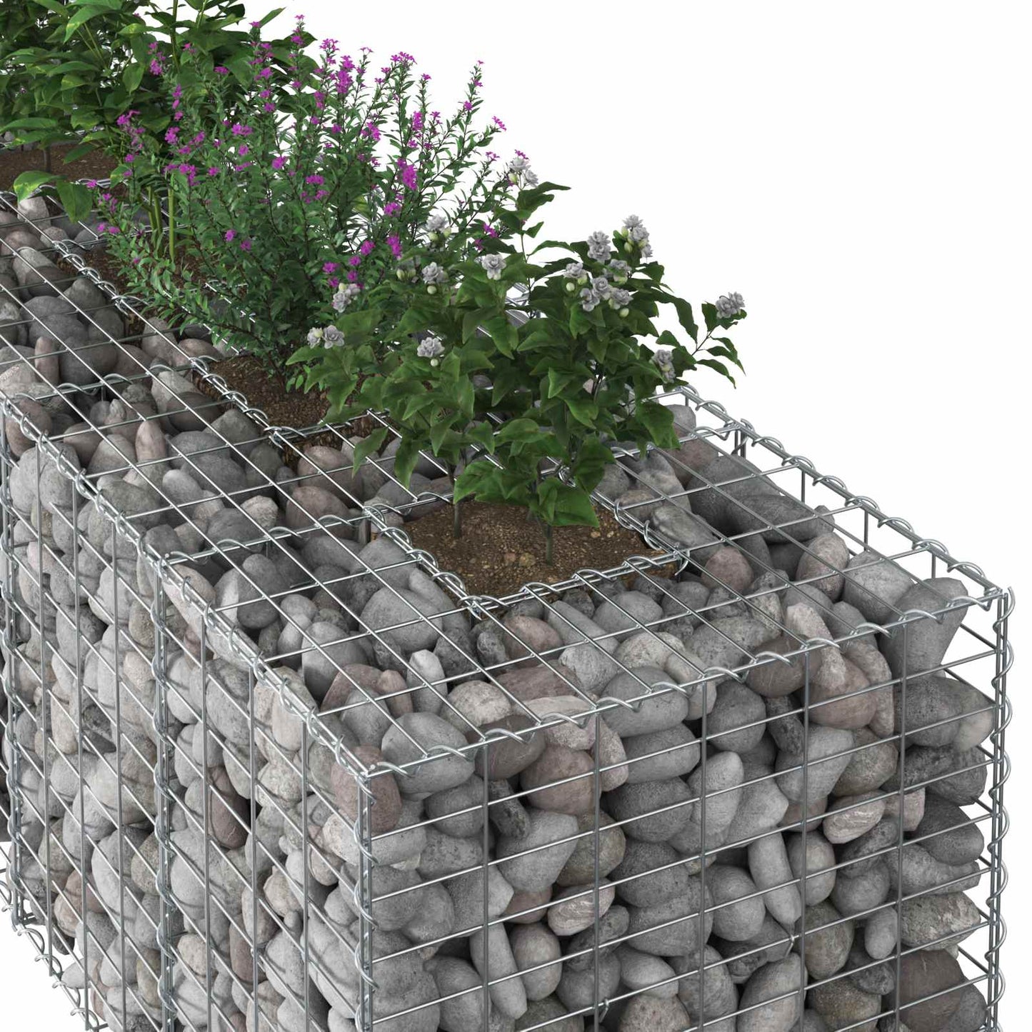 vidaXL Gabion Raised Bed 180 x 60 x 55 cm Galvanised Steel Silver 4