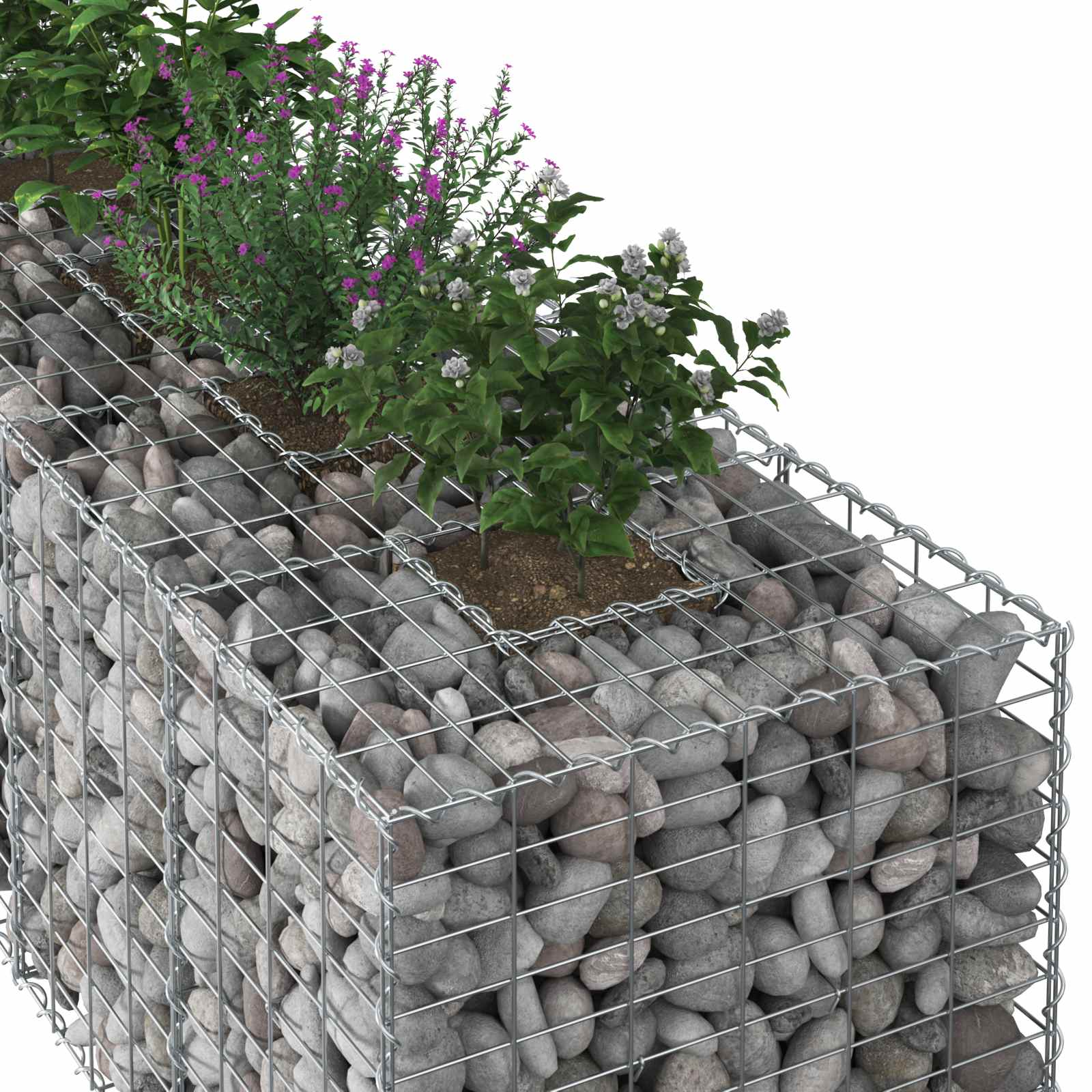 vidaXL Gabion Raised Bed 180 x 60 x 55 cm Galvanised Steel Silver 4