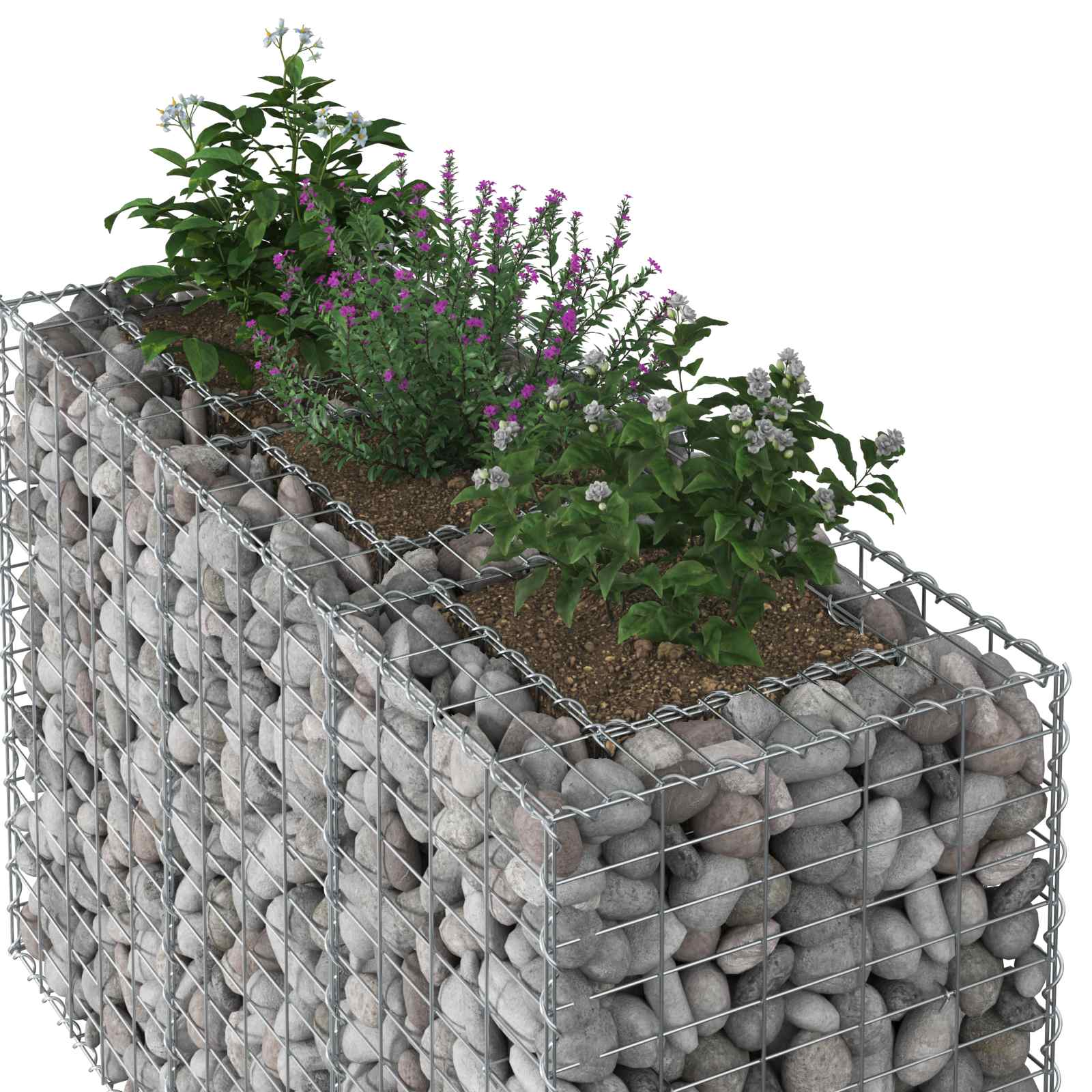vidaXL Gabion Raised Bed 130 x 50 x 80 cm Galvanised Steel Silver 4
