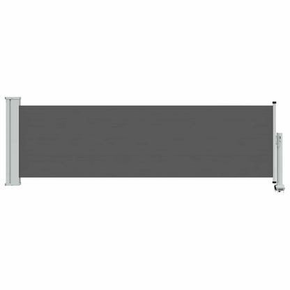 Patio Retractable Side Awning 100 x 300 cm Anthracite