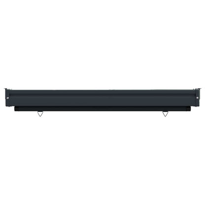 vidaXL Balcony Side Awning 117 x 250 cm 100% polyester iron steel 3
