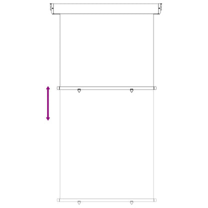 vidaXL Balcony Side Awning 117 x 250 cm 100% polyester iron steel 5