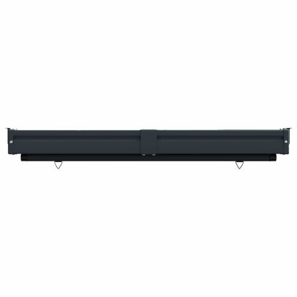 vidaXL Balcony Side Awning 170 x 250 cm 100% polyester iron steel 3