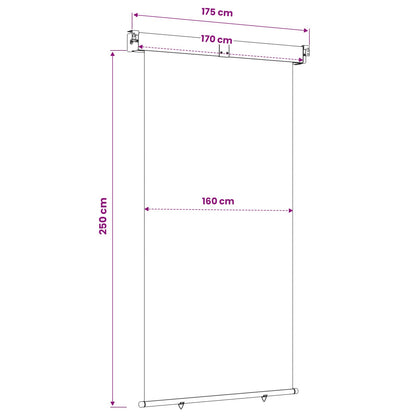 vidaXL Balcony Side Awning 170 x 250 cm 100% polyester iron steel 6