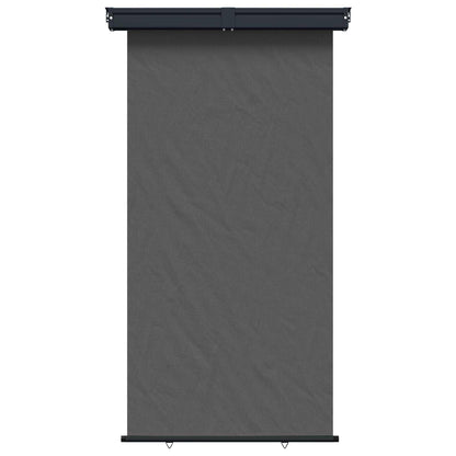 vidaXL Balcony Side Awning 170 x 250 cm 100% polyester iron steel 1