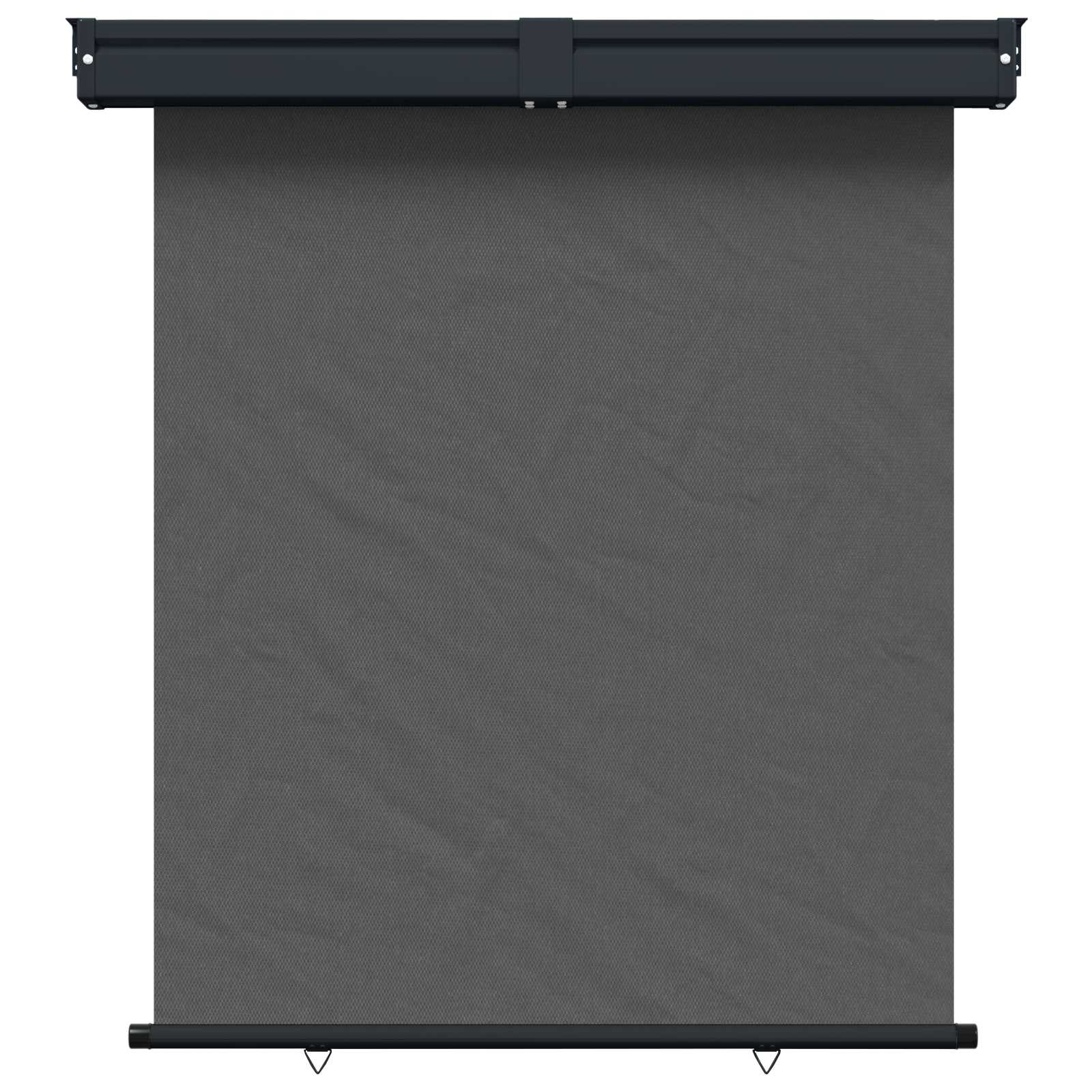 vidaXL Balcony Side Awning 170 x 250 cm 100% polyester iron steel 2