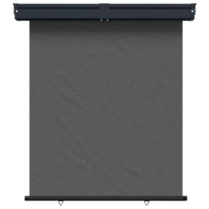 vidaXL Balcony Side Awning 170 x 250 cm 100% polyester iron steel 2