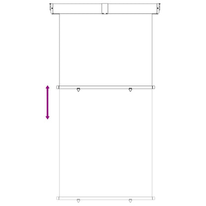 vidaXL Balcony Side Awning 170 x 250 cm 100% polyester iron steel 5