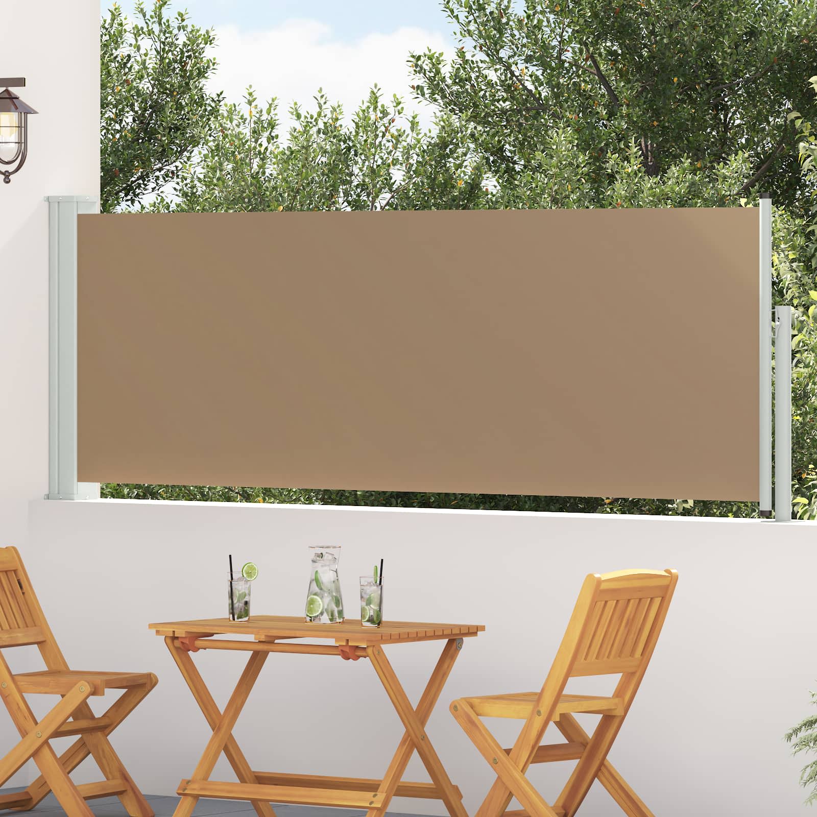 vidaXL Retractable Side Awning Rectangular 300 x 100 cm Polyester 1