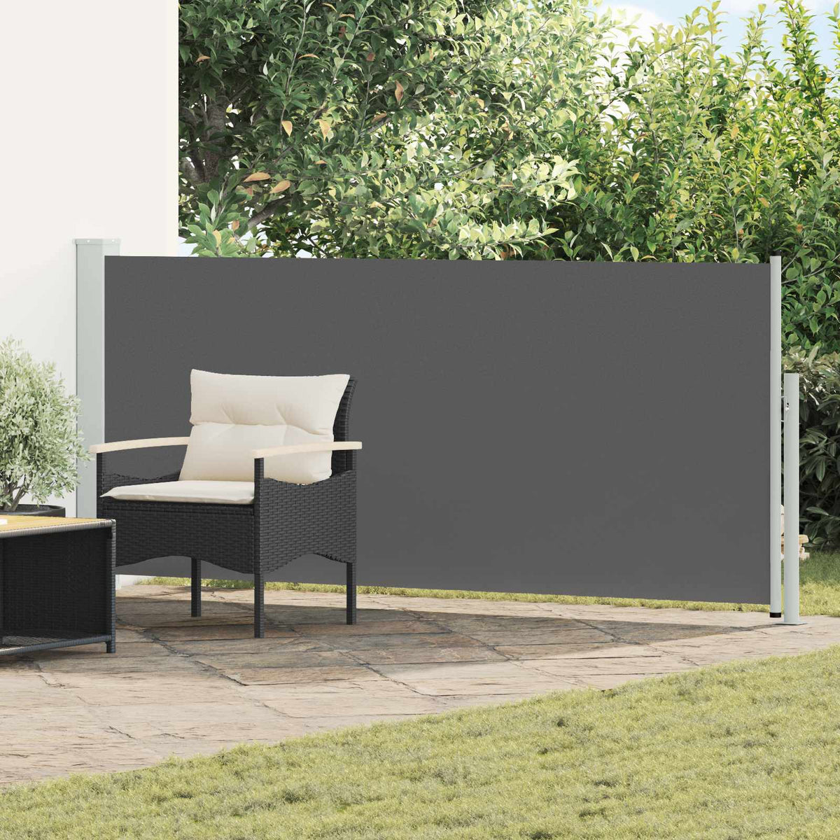 vidaXL Retractable Side Awning Rectangular 120 x 300 cm Polyester 1