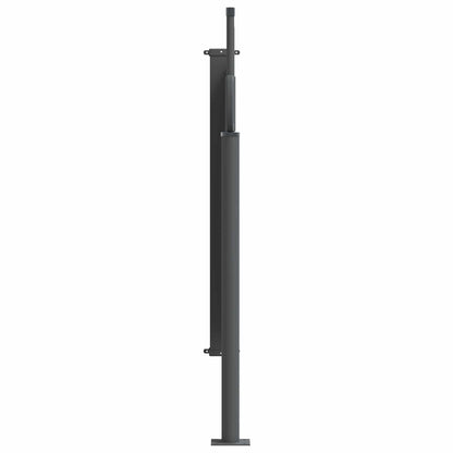 vidaXL Retractable Side Awning 300 x 100 cm Polyester Rectangular 2