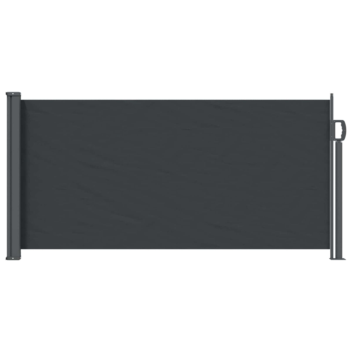 vidaXL Retractable Side Awning 300 x 100 cm Polyester Rectangular 1