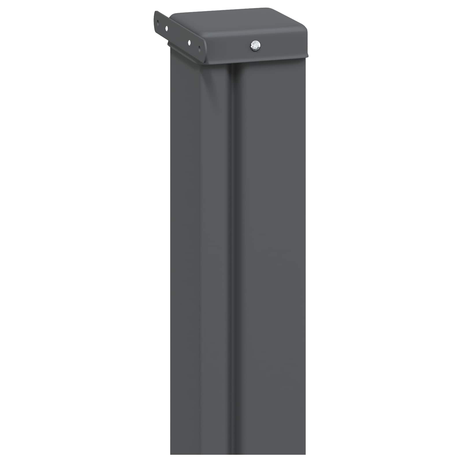 vidaXL Retractable Side Awning 100 x 300 cm 100% polyester iron steel 3