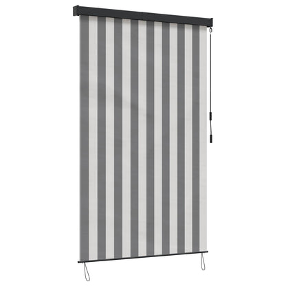 vidaXL Roller Blind Anthracite and White 100 x 250 cm 2