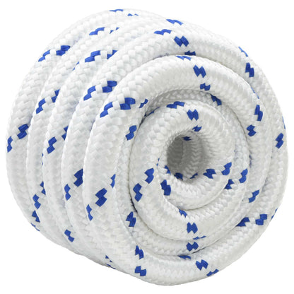vidaXL Boat Rope 6 mm 5 m White and Blue 3