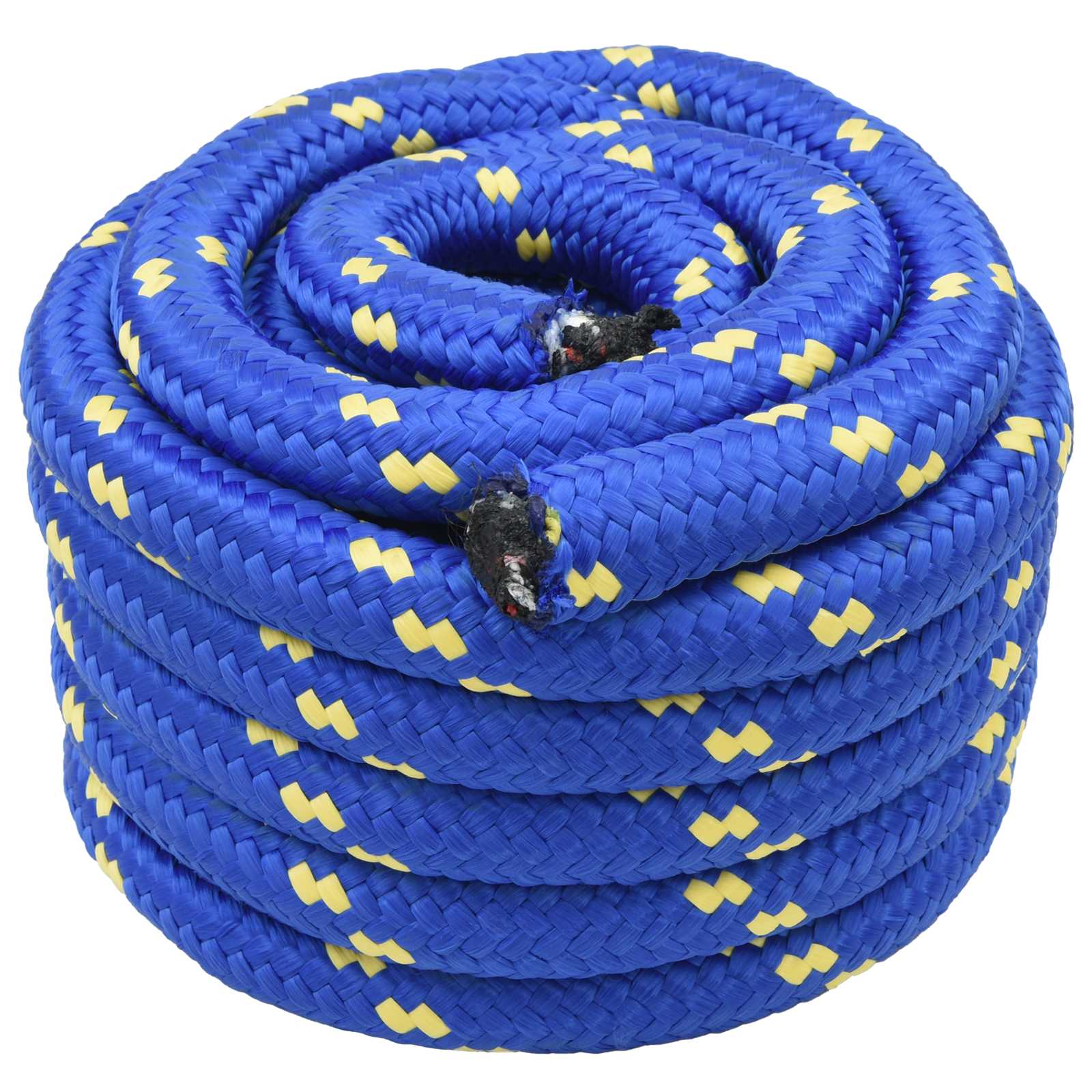 vidaXL Boat Rope 6 mm 5 m Blue 1