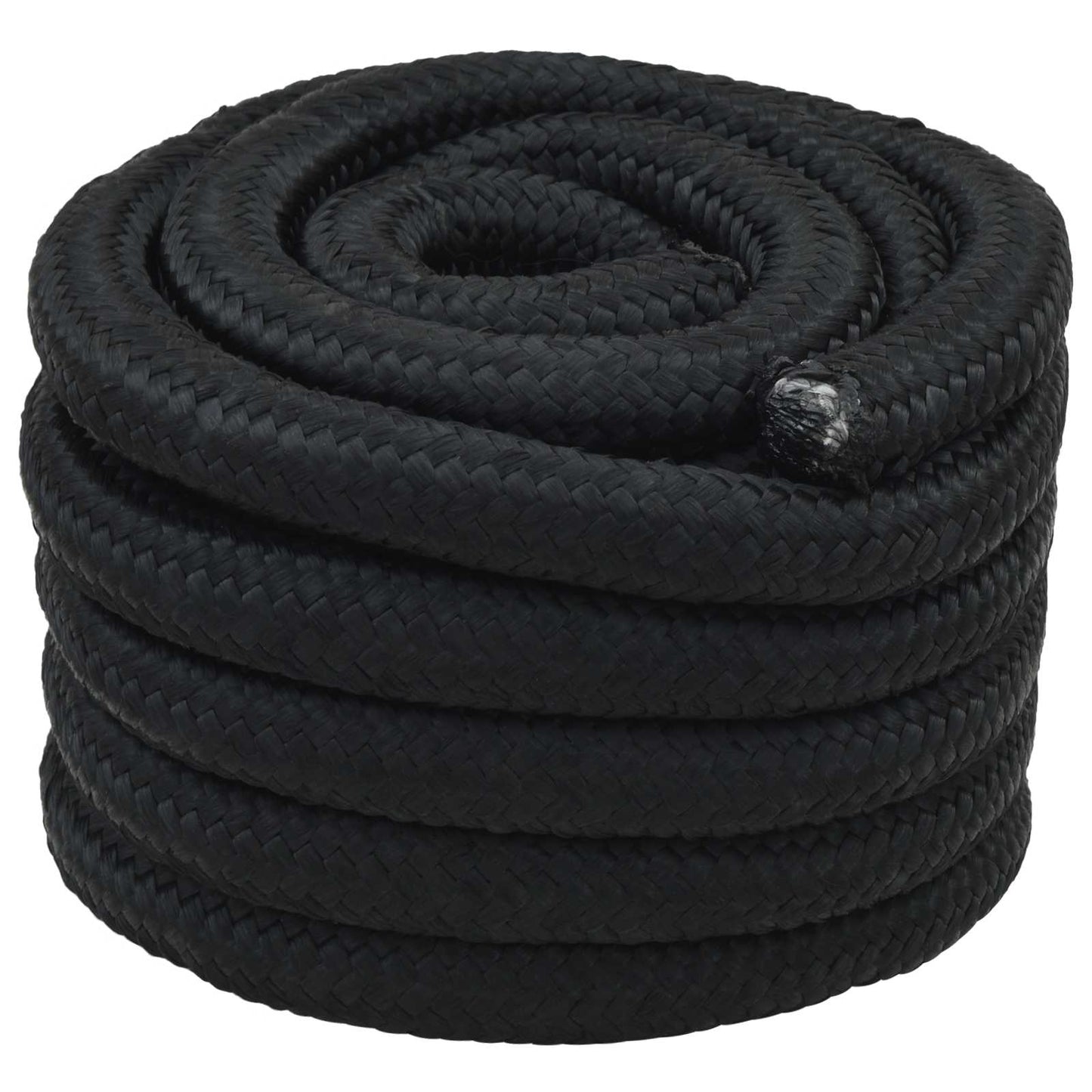 vidaXL Boat Rope 4 mm 10 m Black 1