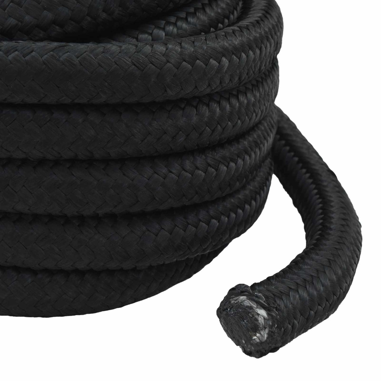 vidaXL Boat Rope 6 mm 5 m Black 6
