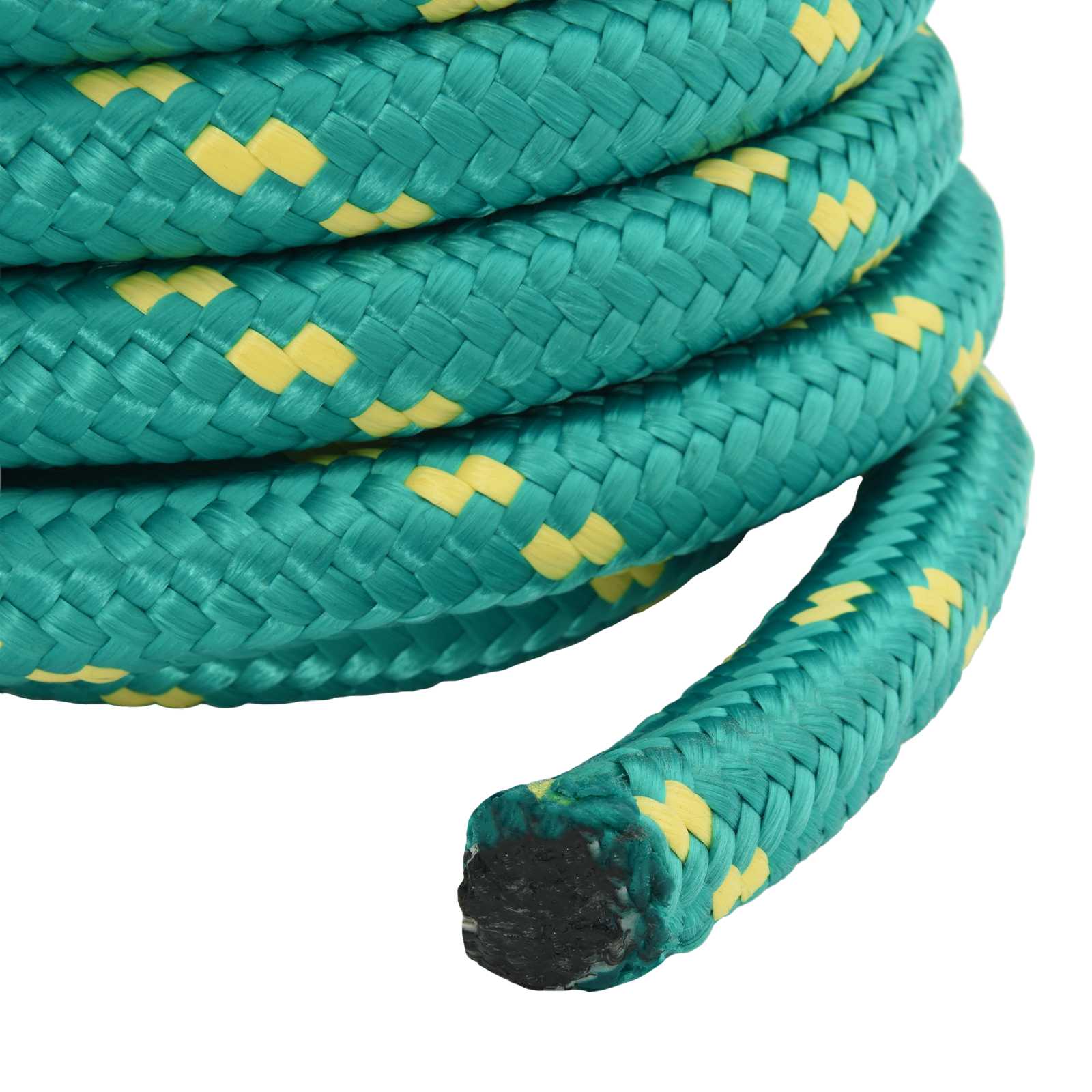 vidaXL Boat Rope 6 mm 5 m Green 6