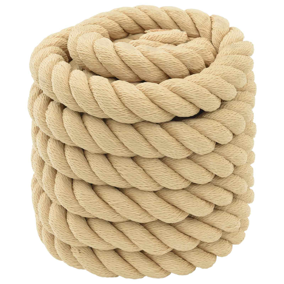 vidaXL Boat Rope polypropylène Length 5 m 60 mm
