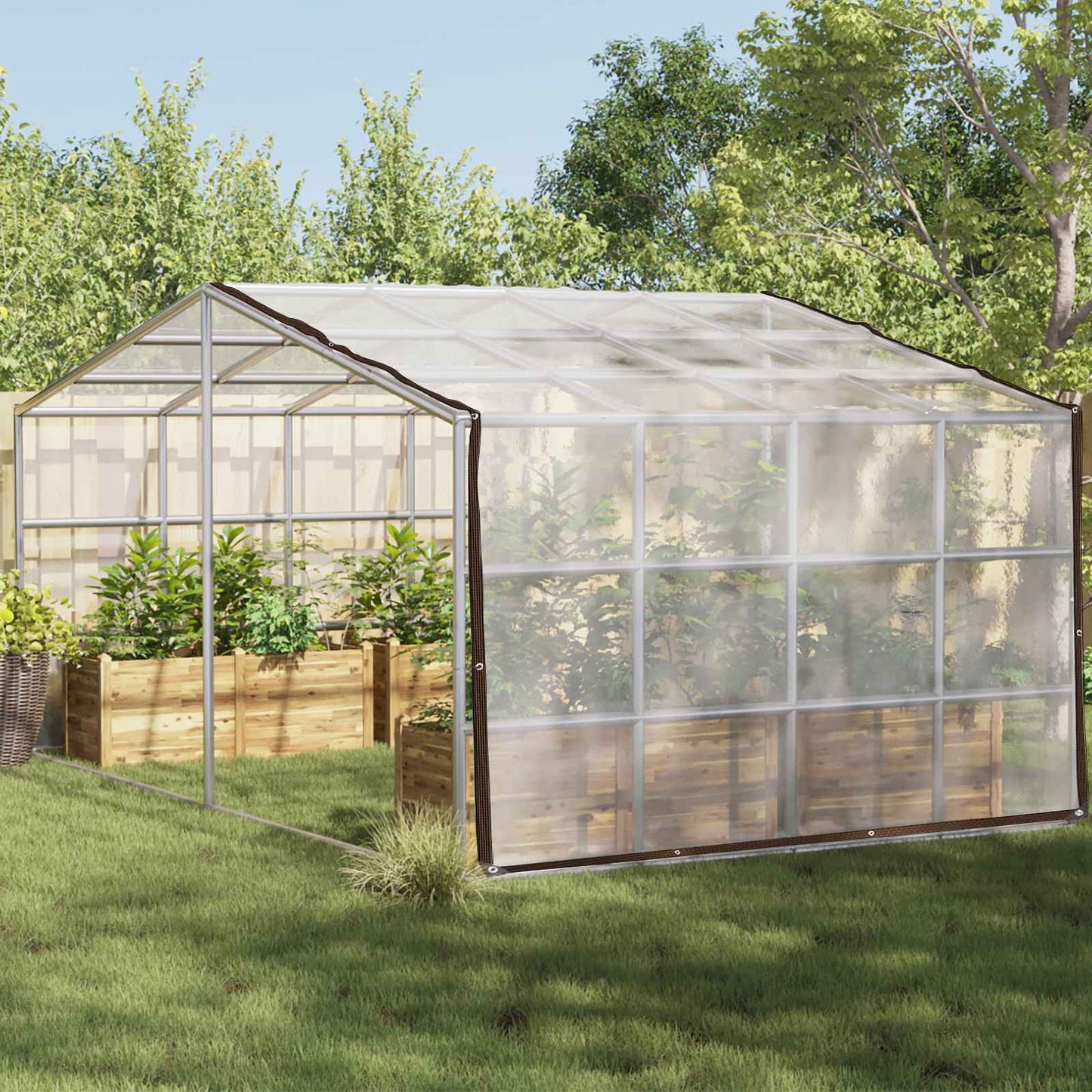 vidaXL Plant Cover Transparent 5 x 12 m PE 1