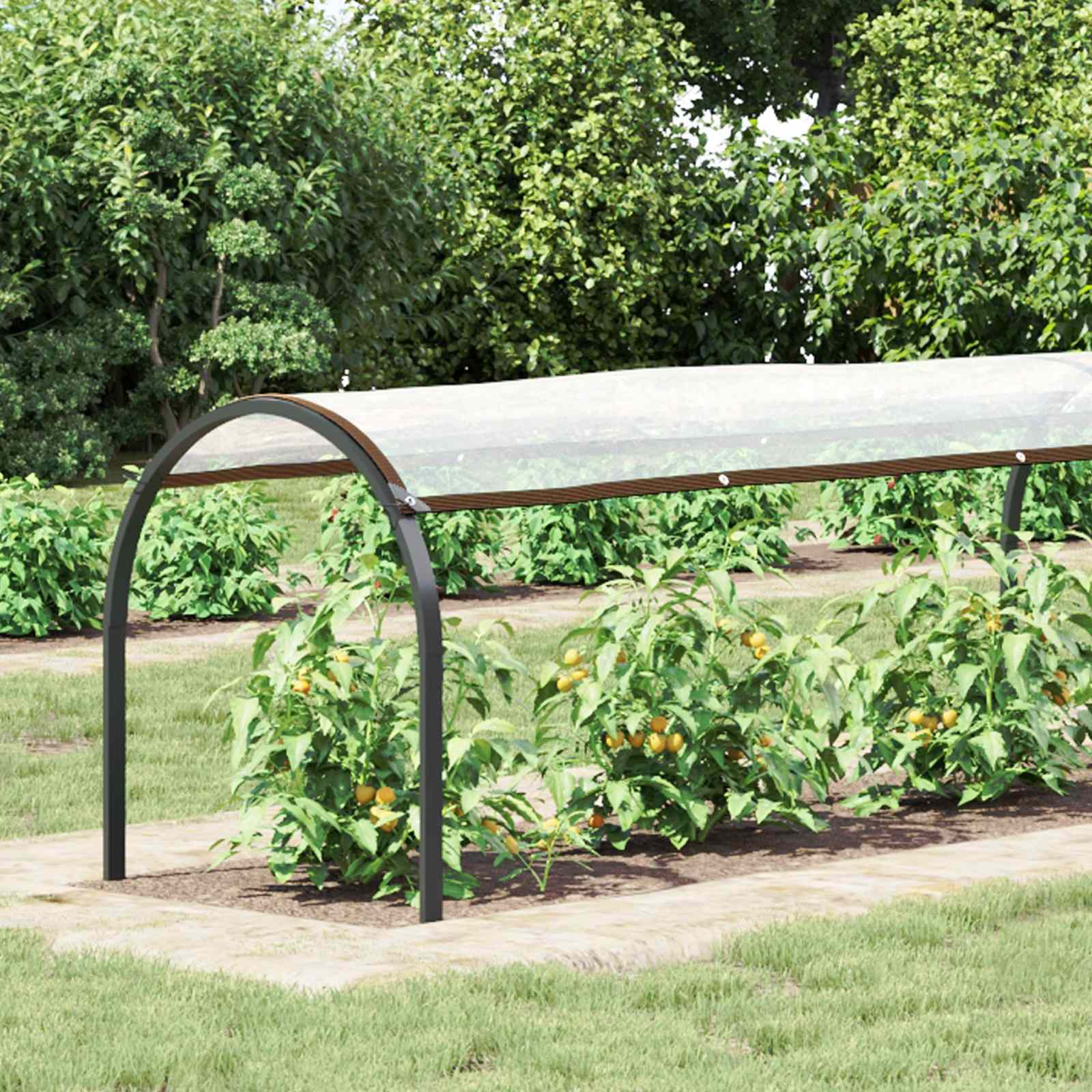 vidaXL Plant Cover Transparent 20 x 1.5 m PE 1
