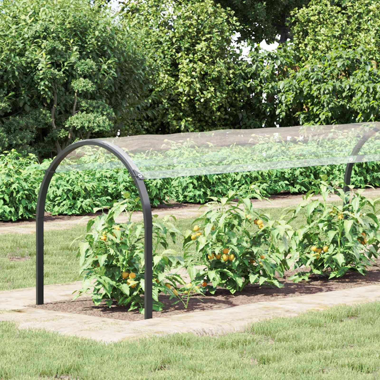 vidaXL Plant Cover Transparent 1 x 12 m PVC 3