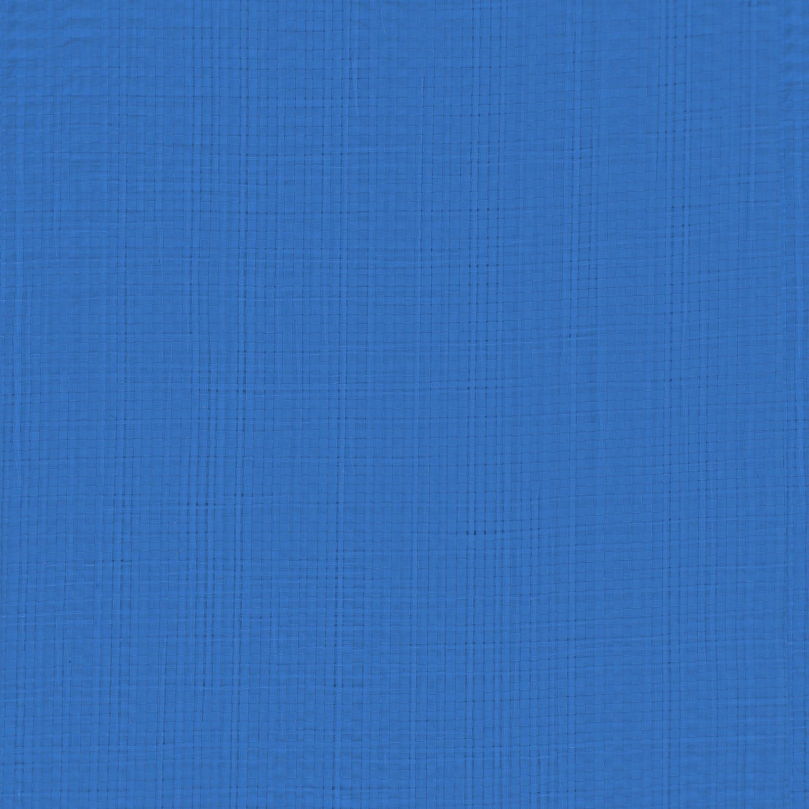 vidaXL Tarpaulin with Eyelets Blue 6 x 10 m 180 gsm PE 6
