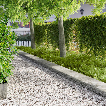 vidaXL Lawn Edging 10 pcs 103 x 30 cm Steel Silver 1