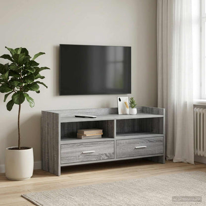 vidaXL TV Cabinet 100 x 33 x 47 cm Grey Sonoma Engineered Wood 1