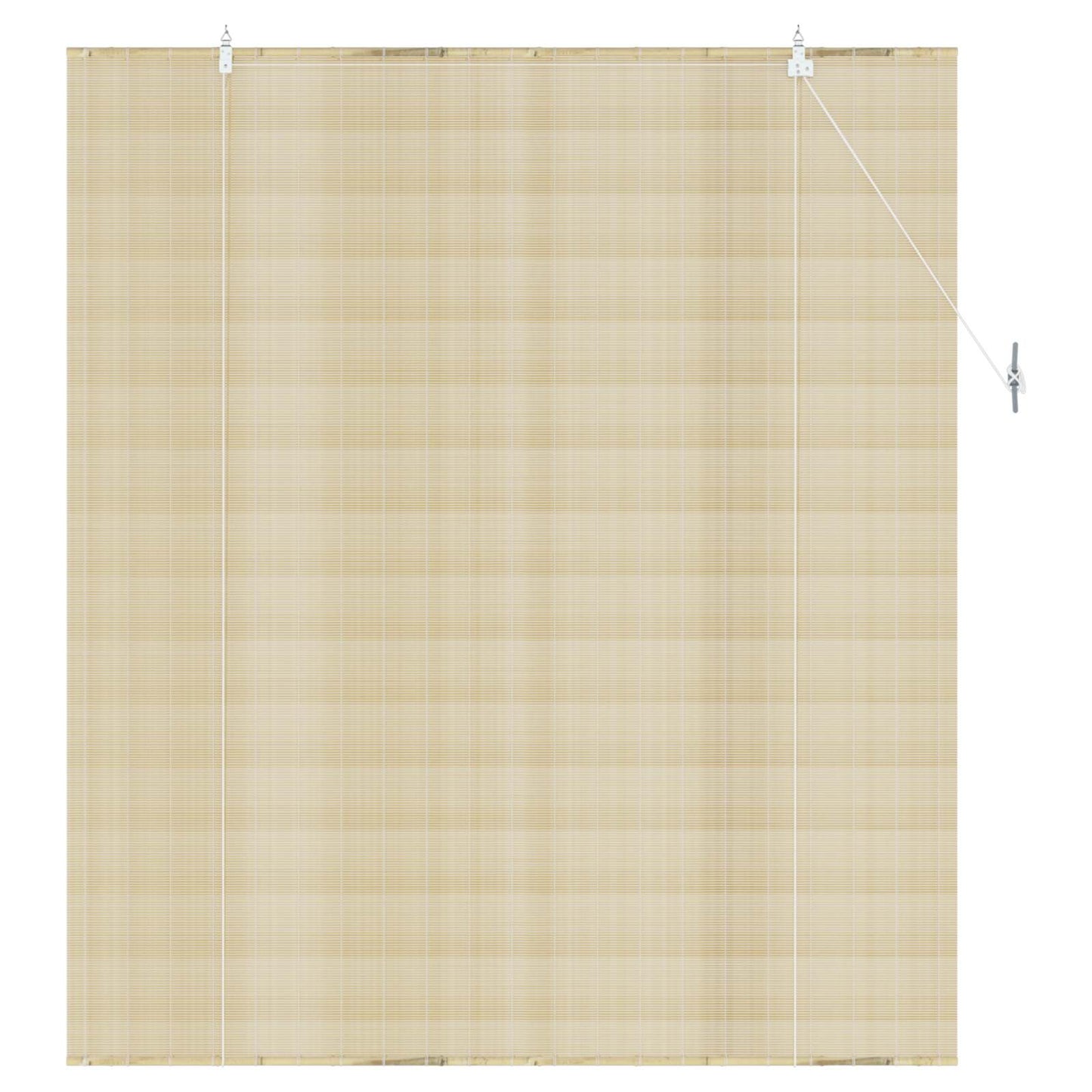 vidaXL Roller Blind Natural 160 x 160 cm Bamboo 3