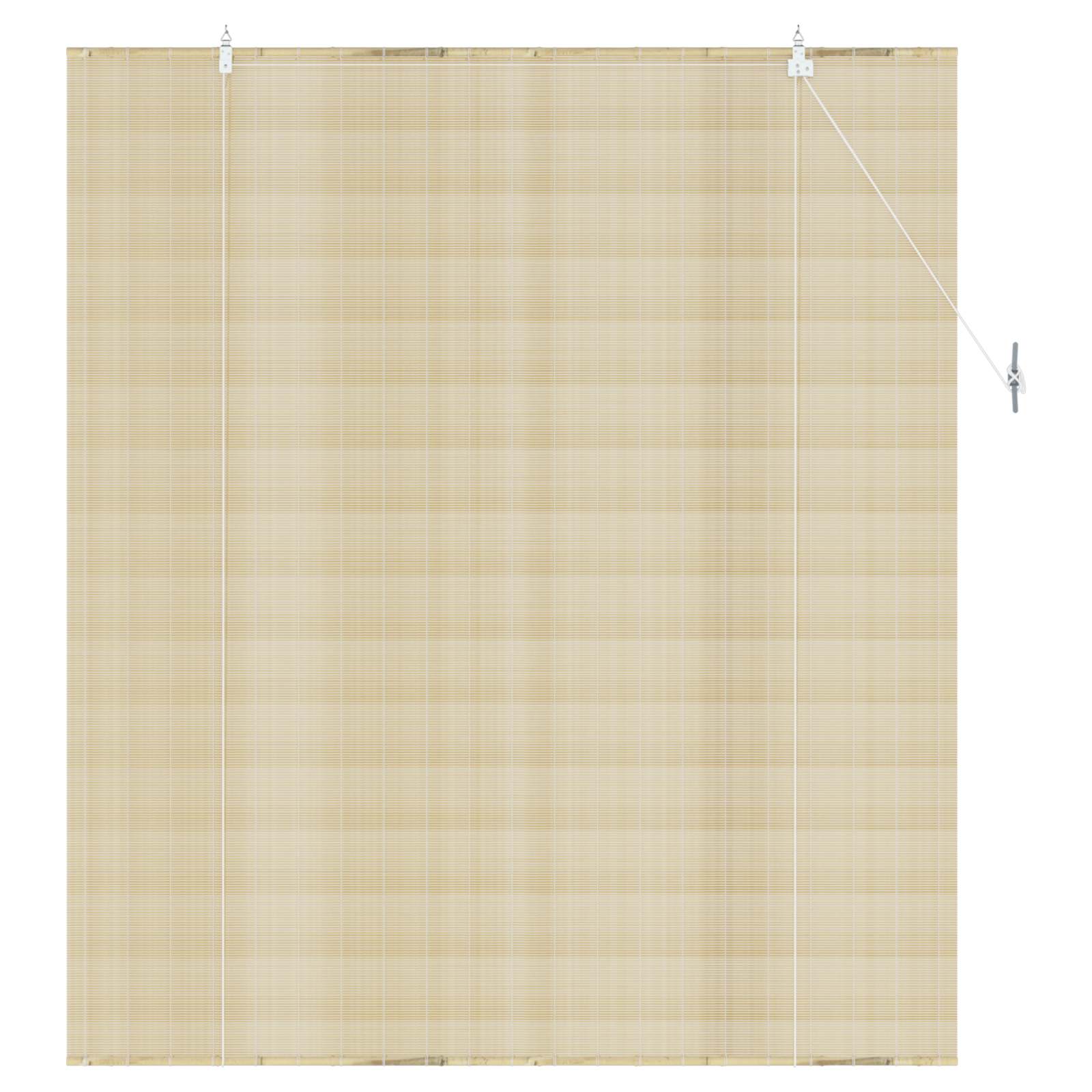 vidaXL Roller Blind Natural 160 x 160 cm Bamboo 3