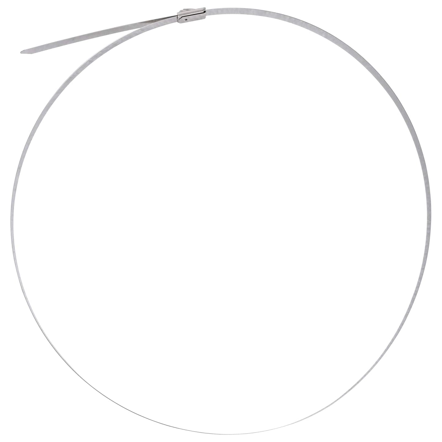 vidaXL Cable Tie 250 pcs 7.9 x 700 mm Silver 5