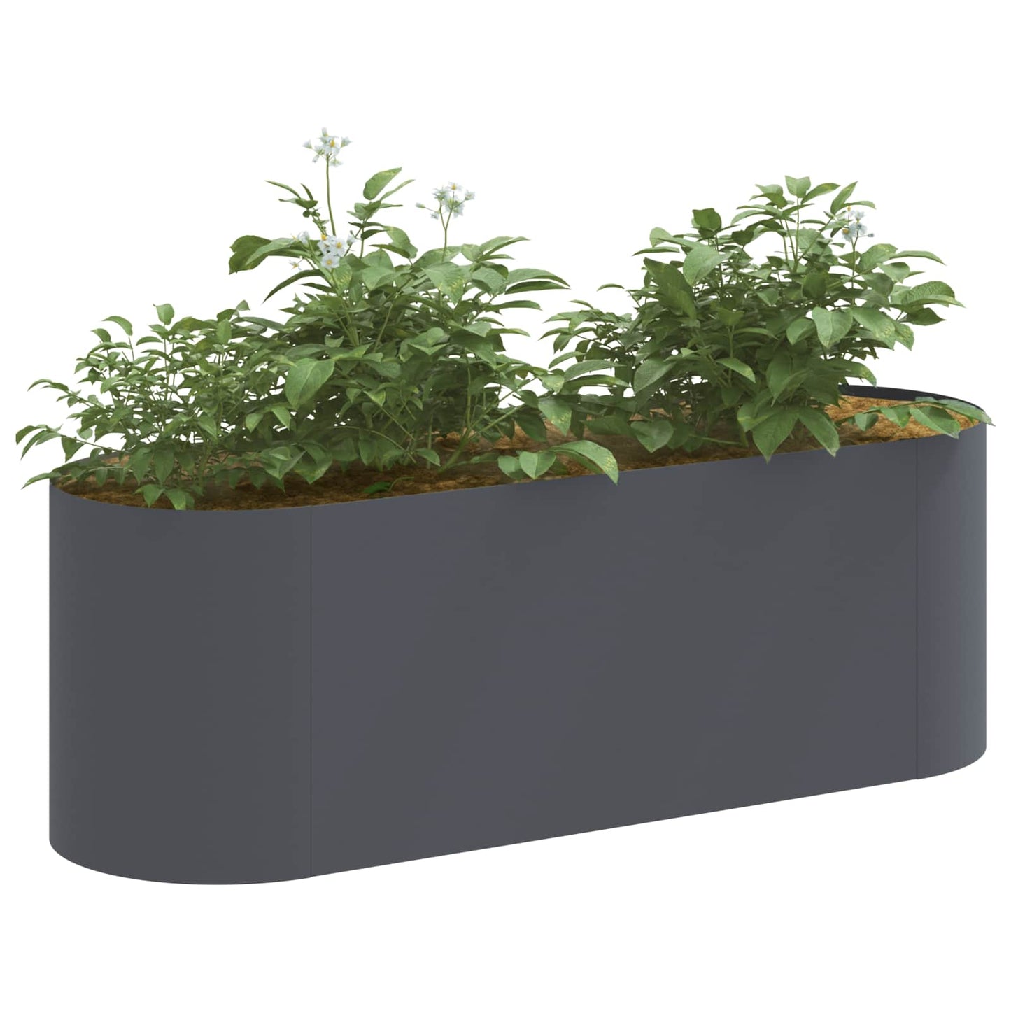 vidaXL Raised Garden Bed Anthracite 120 x 40x 40 cm 3