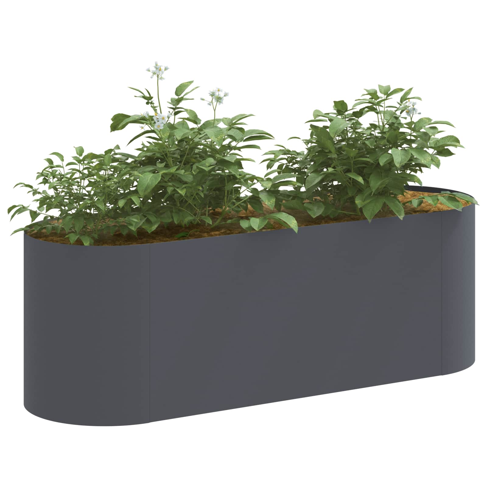 vidaXL Raised Garden Bed Anthracite 120 x 40x 40 cm 3