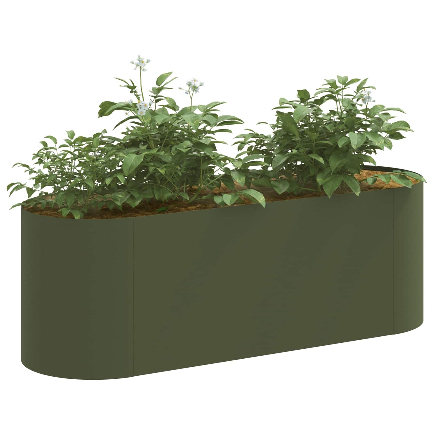 vidaXL Raised Garden Bed Olive Green 120 x 40x 40 cm 3