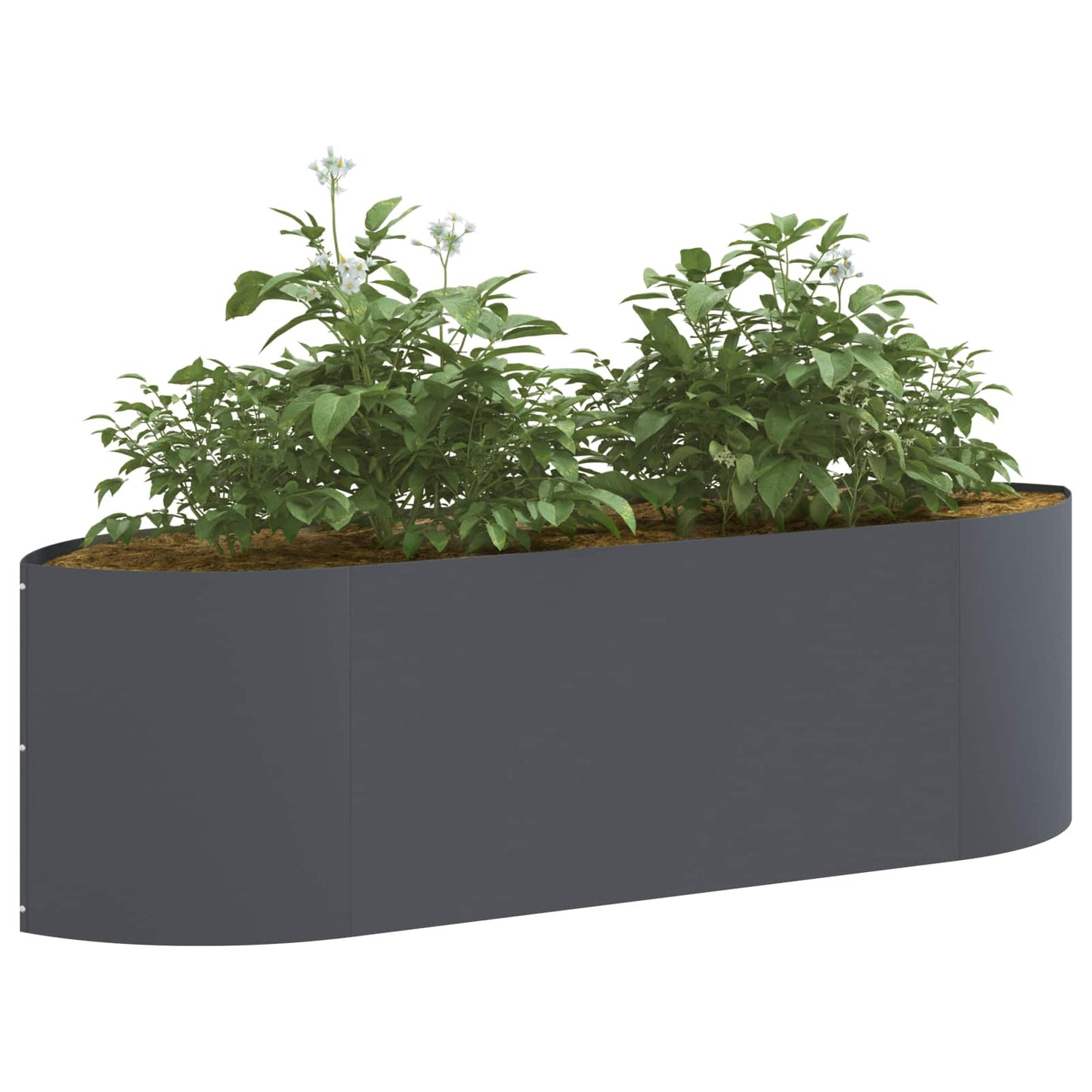 vidaXL Raised Garden Bed Anthracite 140 x 40x 40 cm Steel 3