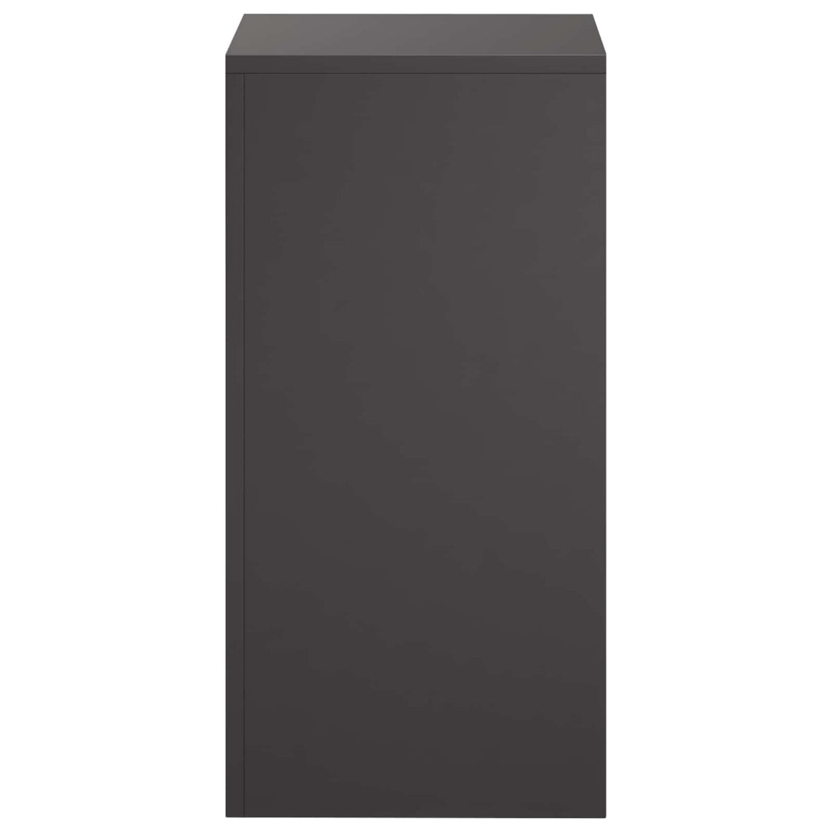 vidaXL Plant Stand 2 pcs Black 30 x 30 x 60 cm Steel 4