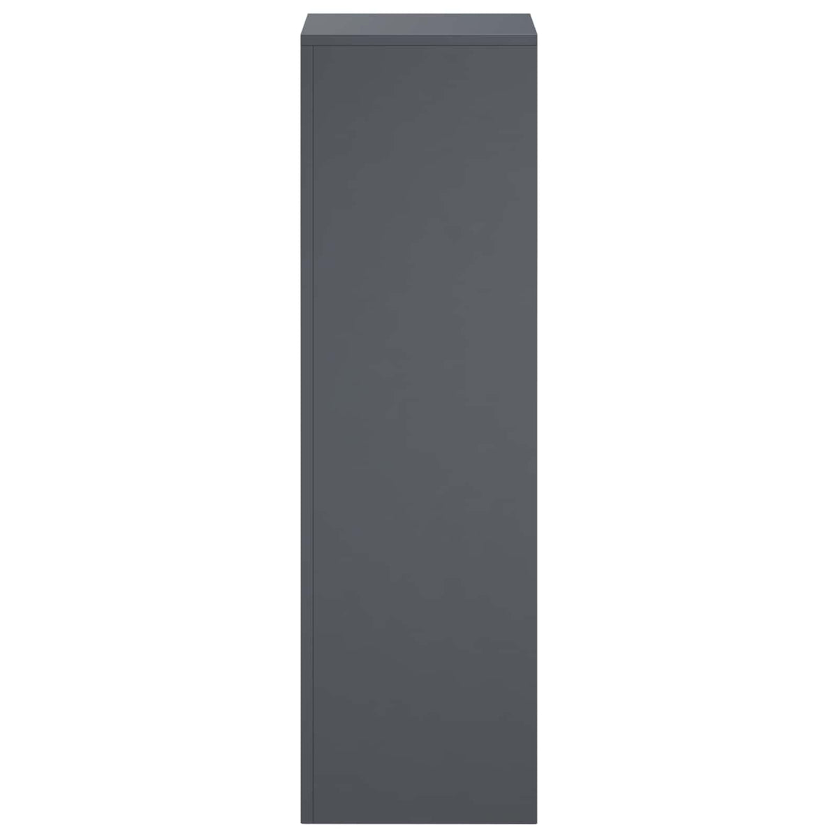 vidaXL Plant Stand Anthracite 30 x 30 x 100 cm Stainless Steel 4