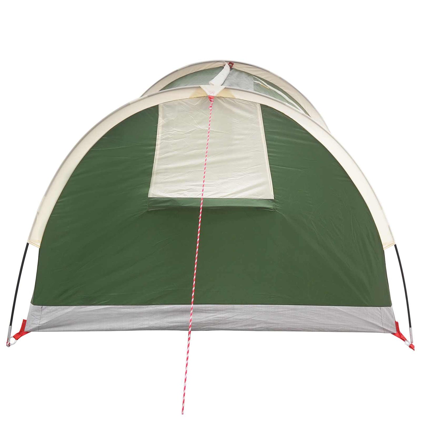 vidaXL Hiking Tent Water-Resistant 2-Person Green 6