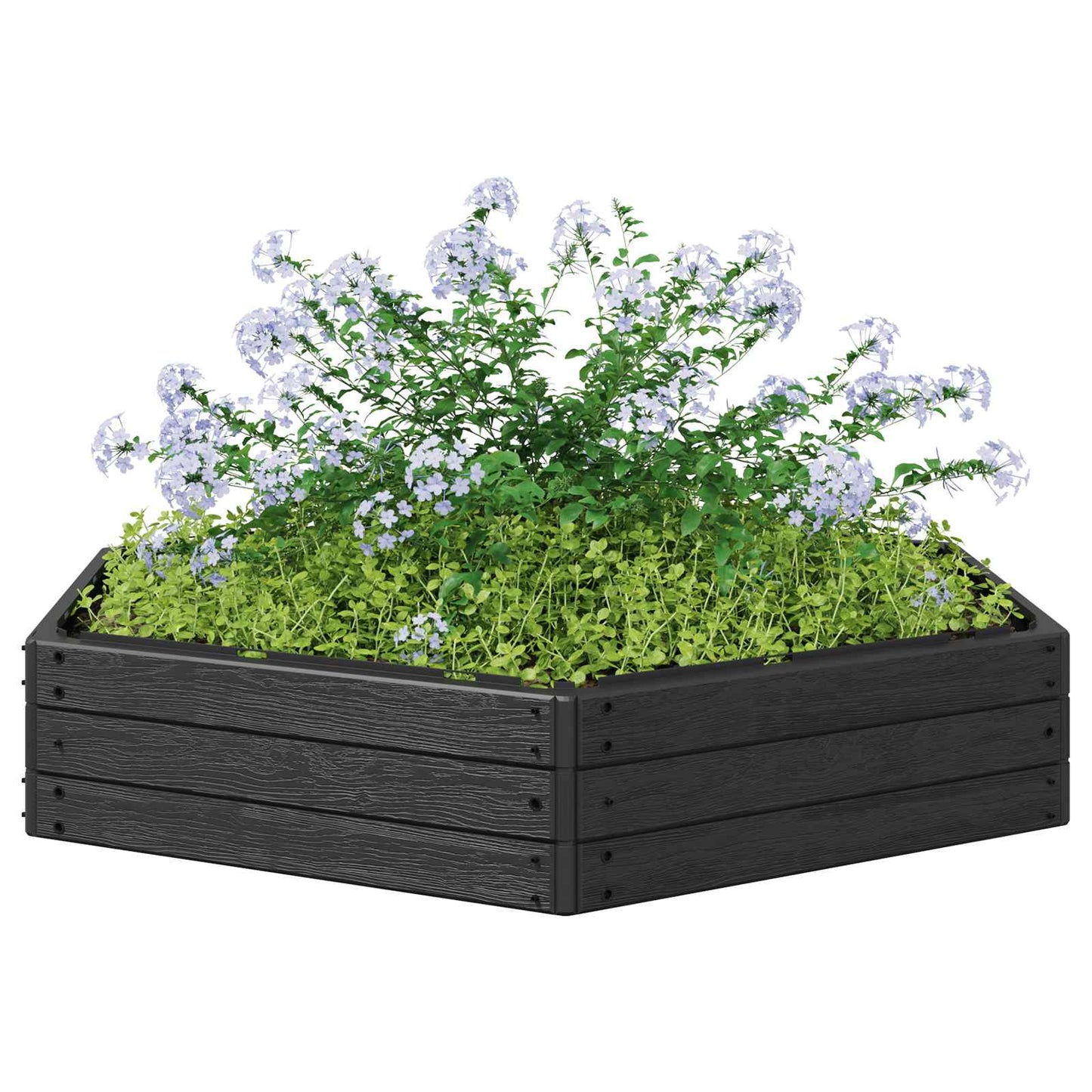 vidaXL Raised Bed Black 148 x 129 x 25 cm PP 3