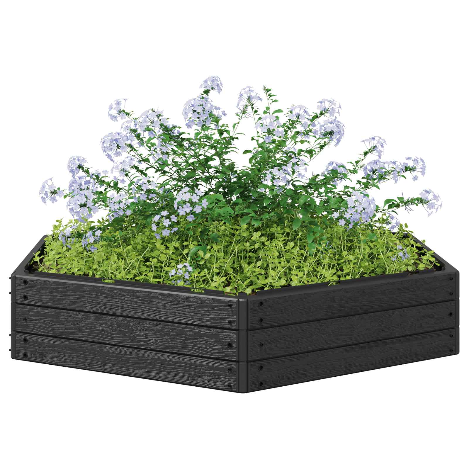 vidaXL Raised Bed Black 148 x 129 x 25 cm PP 3