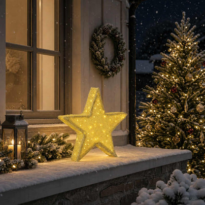 vidaXL 3D Christmas Star 50 LEDs Warm White 55 x 53.5 x 10 cm 3