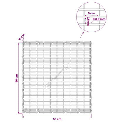 Gabion with 3.5 mm Wire and 5x2.5 cm Mesh 50x10x50 cm 50 cm