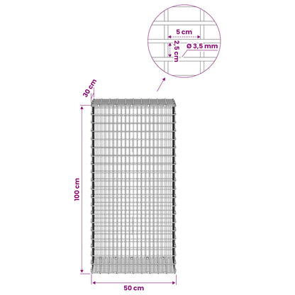 Gabion with 3.5 mm Wire and 5x2.5 cm Mesh 50x30x100 cm 50 cm