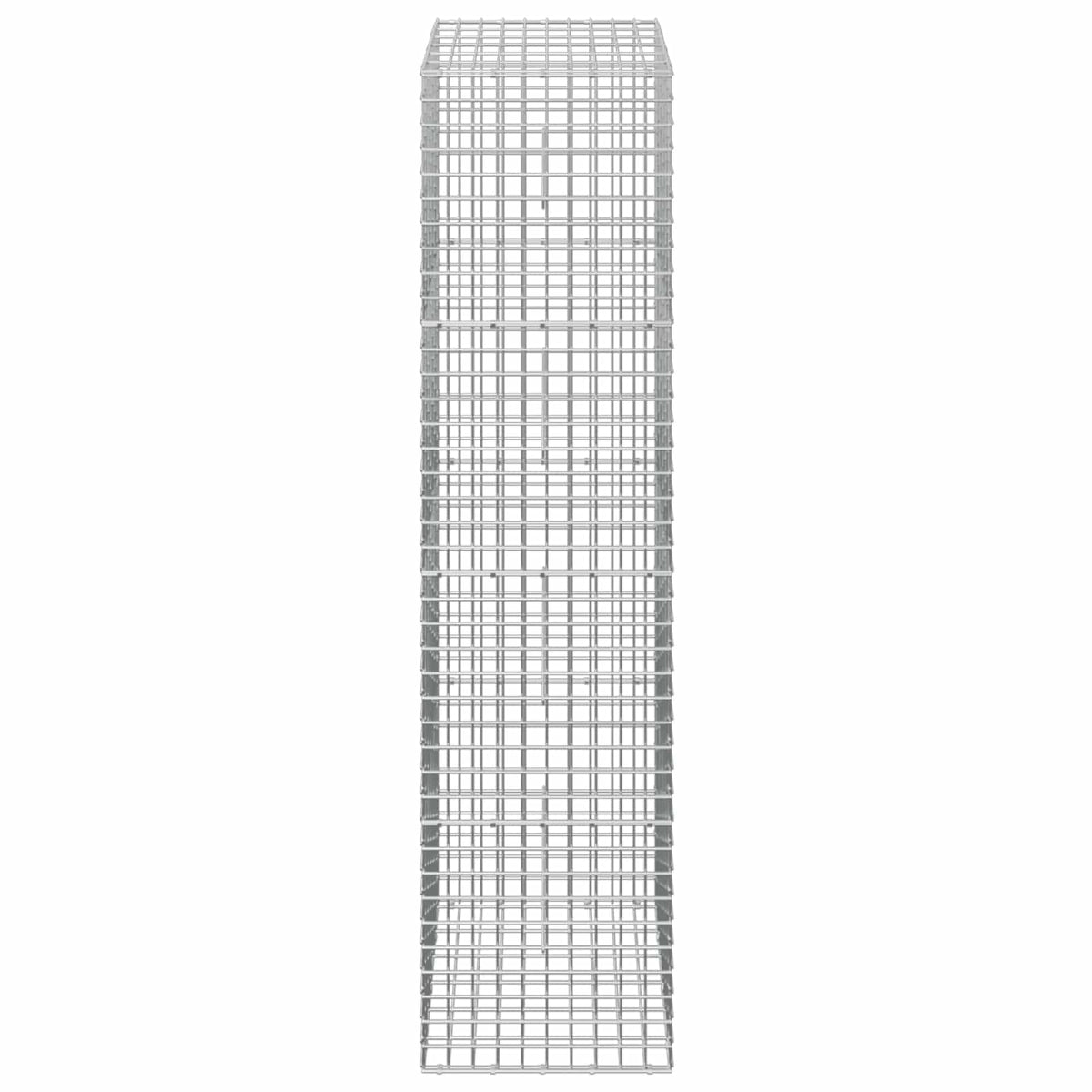 Gabion with 3.5 mm Wire and 5x5 cm Mesh 50x30x200 cm 50 cm